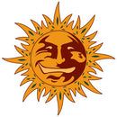 BARNEY'S FARM - WEDDING CAKE AUTO - 5 SEEDS