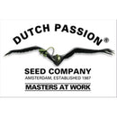 DUTCH PASSION - WHITE WIDOW REGULAR - 10 SEEDS