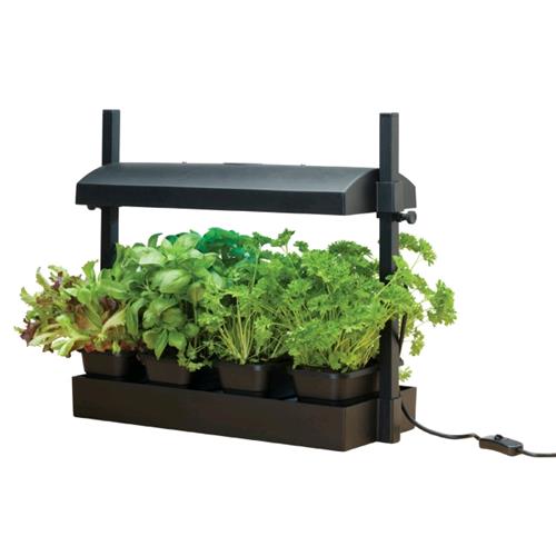 GROW LIGHT GARDEN 11W - MINI GARDEN INDOOR