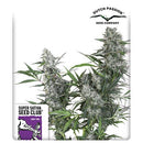 SUPER SATIVA SEED CLUB - CREEPER - REGULAR - 12 SEEDS