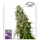 SUPER SATIVA SEED CLUB - KEES' OLD SCHOOL  HAZE - REGULAR - 12 SEEDS