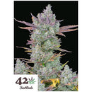 FAST BUDS - GORILLA COOKIES AUTO - 100 SEEDS