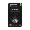 SENSI SEEDS - MANDARIN PUNCH FEMINIZED - RESEARCH - 10 SEEDS