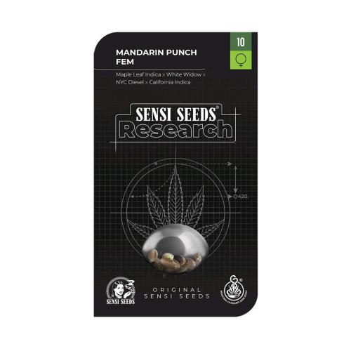 SENSI SEEDS - MANDARIN PUNCH FEMINIZED - RESEARCH - 1 SEED