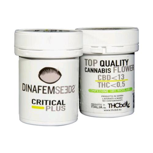 THCBD - CRITICAL PLUS - 2,5GR <0,5%