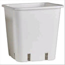 SQUARE WHITE POT - 17,5X17,5X25 - 6 LT