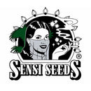 SENSI SEEDS - MICHKA FEMINIZED - 3 SEEDS