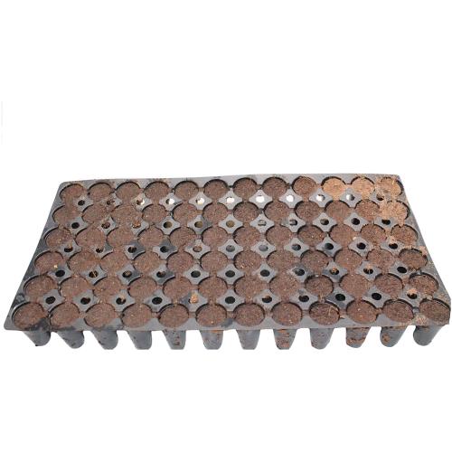 JIFFY - SEEDLING TRAY 104 CUBES - 53X31X5