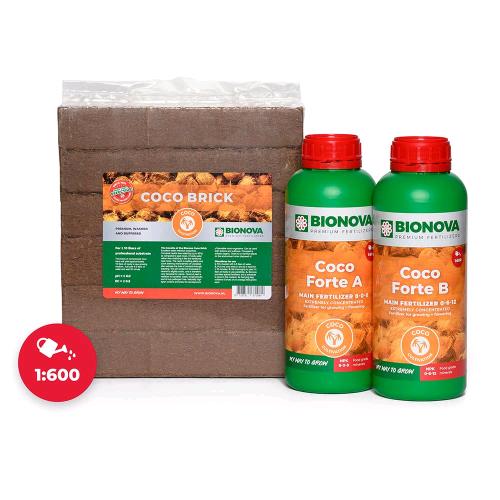 BIONOVA - COCO FORTE A+B COCO - 20L