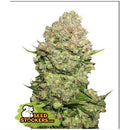 SEED STOCKERS - WHITE WIDOW FEM - 3 SEEDS
