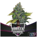 BSF - GORILLA RAINBOW FEM - 2 SEEDS