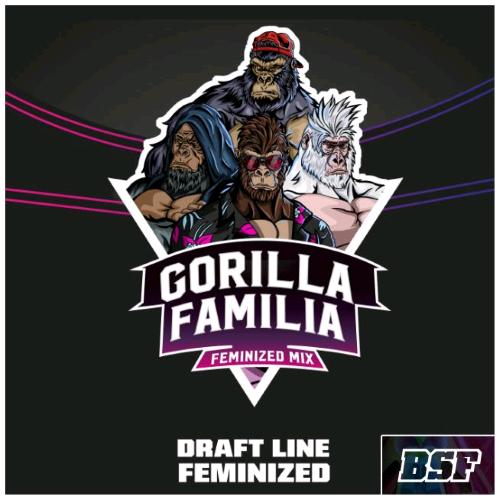 BSF - MIX GORILLA FAMILIA FEM - PACK 12 SEEDS