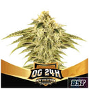 BSF - OG 24K FEM - LIMITED EDITION - 10 SEEDS