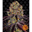 BARNEY'S FARM - RUNTZ X LAYER CAKE FEM - 10 SEEDS