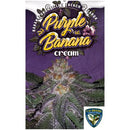 TH SEEDS - PURPLE BANANA CREAM FEM - 2 SEEDS