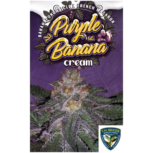 TH SEEDS - PURPLE BANANA CREAM FEM - 6+1 SEEDS