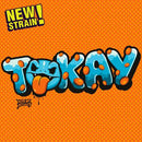 GECKO SEEDS - TOKAY FEM - 3 SEEDS