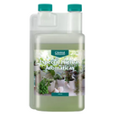 Canna Aromatics