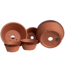 Honeysuckle Terracotta Prebonsai Pot