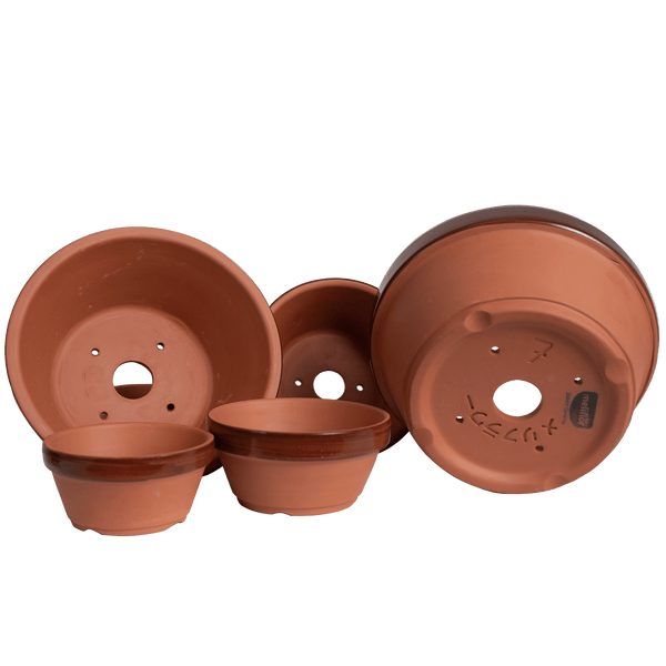 Honeysuckle Terracotta Prebonsai Pot