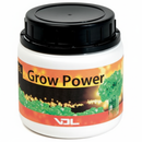 VDL Grow Power 500gr
