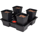 Wilma Large XXL 4 (18L)