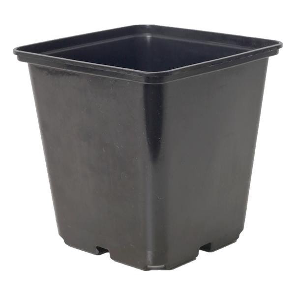 GR Square Black Pot