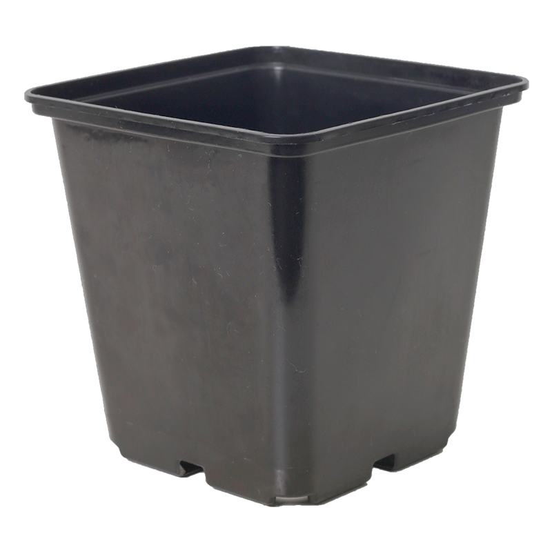 GR Square Black Pot