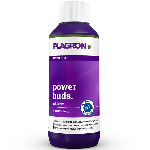 Plagron Power Buds