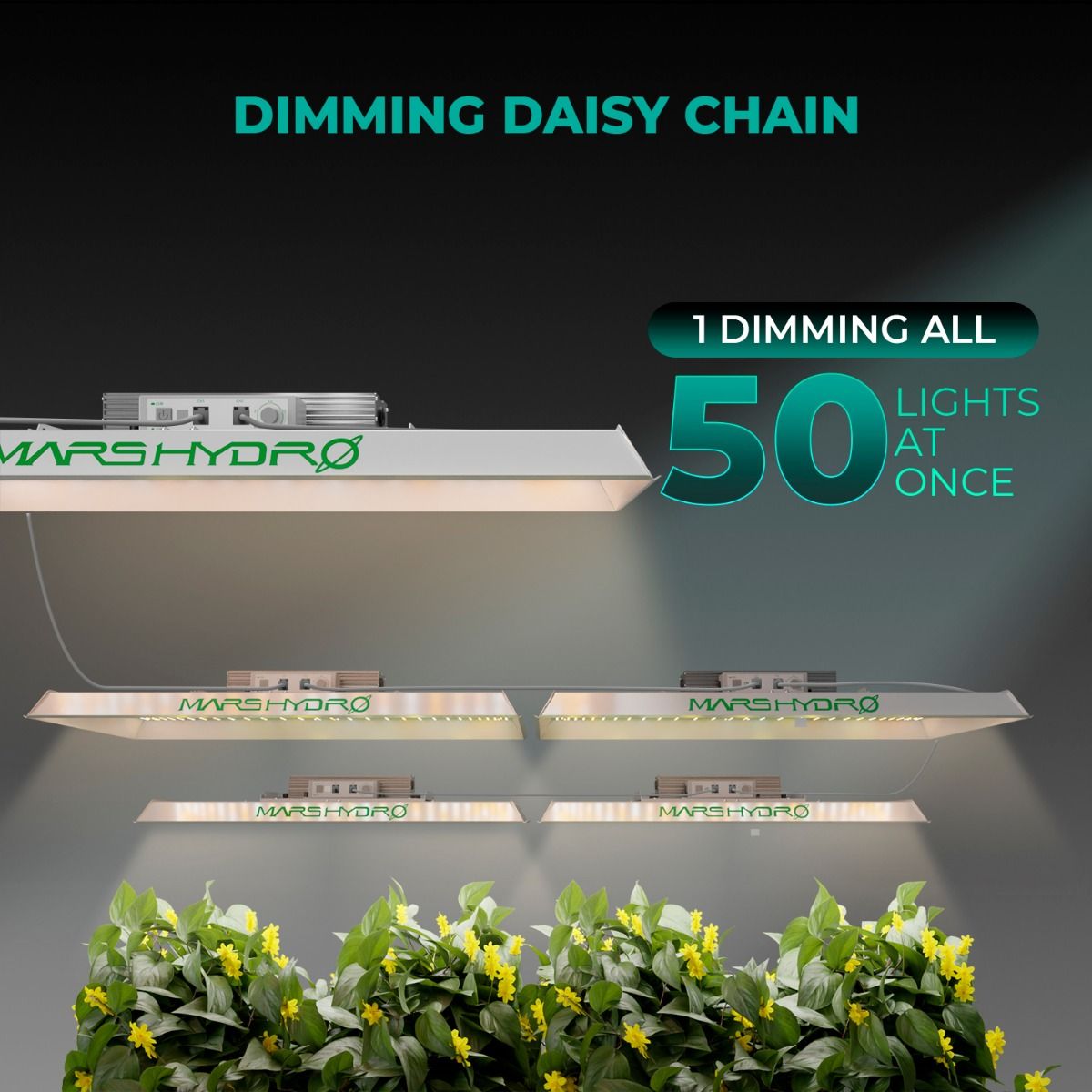 Mars Hydro TSW 2000 Full Spectrum 300W Dimming LED Grow Light For 4x4