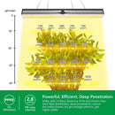 Mars Hydro SP 6500 Samsung LM301B 650W Greenhouse LED Grow Light