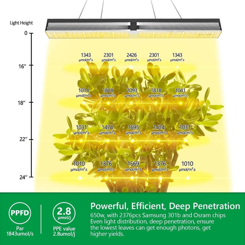 Mars Hydro SP 6500 Samsung LM301B 650W Greenhouse LED Grow Light